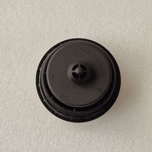 VT40-0019-OEM VT40 Outer Filter With Cover 24290959