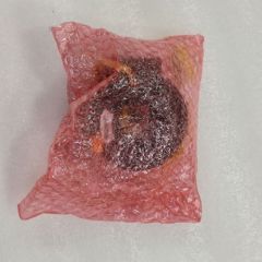 AATP-0289-AM Steering wheel hairspring horn coil BYD S6 S6-5828100