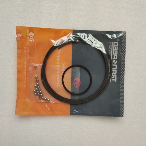 019CHA-152611A-AM 019CHA Pulley Rebuild Kit 3 Sealing Ring 1 D Ring 18 Balls