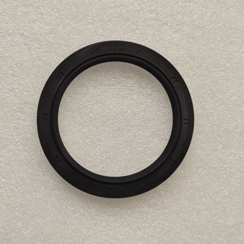 VT5-18401B-AM VT5 Overhaul Kit With Pulley O ring kit