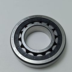 AATP-0295-OEM Bearing NU207-E-XL-TVP2-C3 7121814100 Great Wall