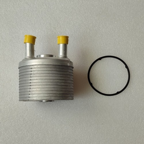 JF506E-0006-AM JF506E cooler with rings 13 floors 09A 317 019