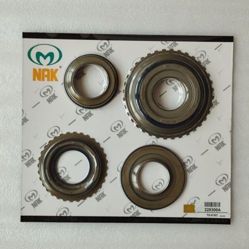 TG81SC-228300A-AM TG81SC piston kit 228300A 4pcs a kit nak
