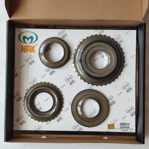 TG81SC-228300A-AM TG81SC piston kit 228300A 4pcs a kit nak