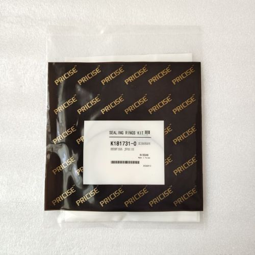 JF011E-0119-AM JF011E pulley ring kit wide and narrow 8pcs a kit