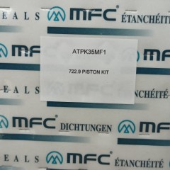 722.9-0035-AM Piston Kit 722.9 Transmission