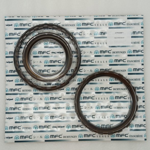722.9-0035-AM Piston Kit 722.9 Transmission