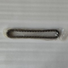 TC-0017-AM Transfer Case Chain SP01666 32.6MM Width WM23SB-21*84 Raptor