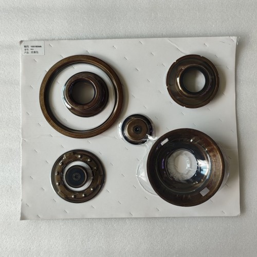 AL4-0077-AM1 Piston Kit AL4 Transmission