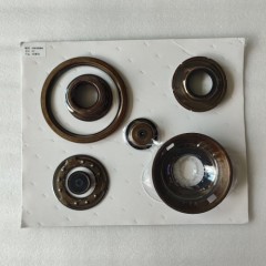 AL4-0077-AM1 Piston Kit AL4 Transmission