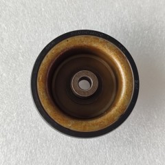 AL4-0077-AM1 Piston Kit AL4 Transmission