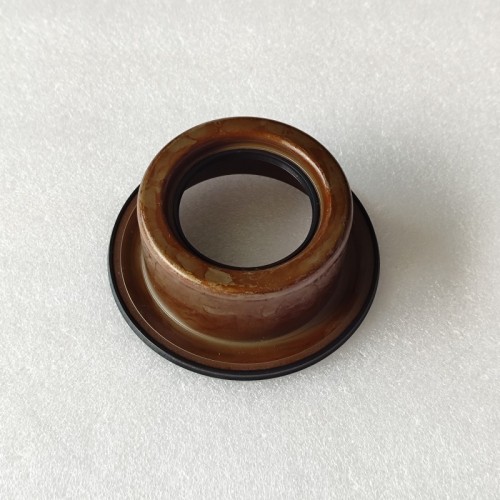 AL4-0077-AM1 Piston Kit AL4 Transmission