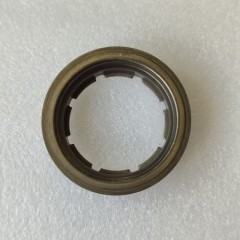 0AM-0118-OEM Clutch Kit 0AM Transmission Clutch+ Fork 6020006090