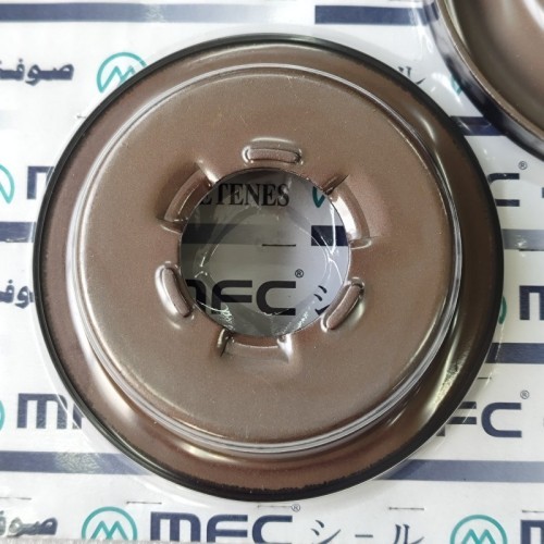 4F27E-0019-AM1 Piston Kit 4F27E Transmission