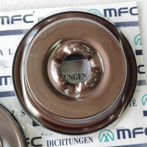 4F27E-0019-AM1 Piston Kit 4F27E Transmission