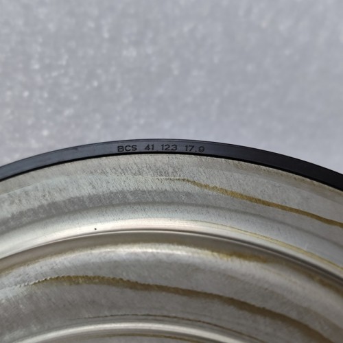 019CHA-0021-OEM Piston-Forward Small 019CHA-1502220 Transmission