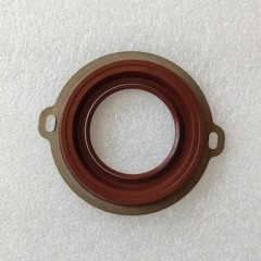 5L40E-0016-AM Pump Seal T406640A 44.1*70*6.7-8.1 5L40E Transmission