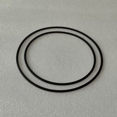 JF017E-0008-AM1 Sealing Ring Kit D 2Pcs A Kit JF017E Transmission