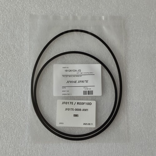 JF017E-0008-AM1 Sealing Ring Kit D 2Pcs A Kit JF017E Transmission