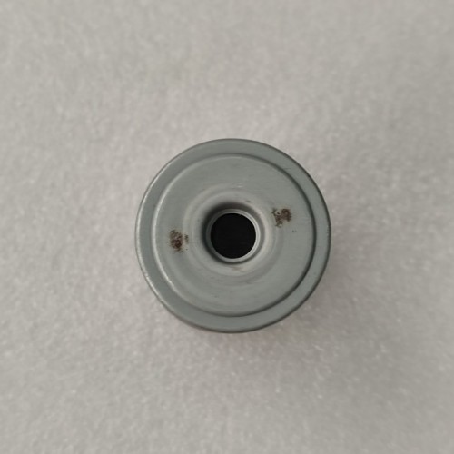 C0GF1-0005-AM Outer Filter C0GF1 Gamma CVT Transmission 48197-2H000