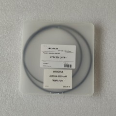 018CHA-0029-AM Sealing Ring Kit For Pulley Piston 181261JA 2Pcs A Kit 018CHA Transmission