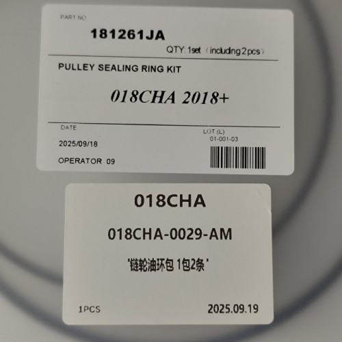 018CHA-0029-AM Sealing Ring Kit For Pulley Piston 181261JA 2Pcs A Kit 018CHA Transmission