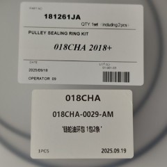 018CHA-0029-AM Sealing Ring Kit For Pulley Piston 181261JA 2Pcs A Kit 018CHA Transmission