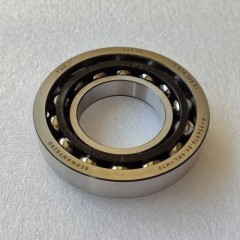 ZC-0148-OEM Bearing F-234976.06 Transmission
