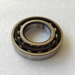 ZC-0148-OEM Bearing F-234976.06 Transmission