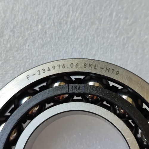 ZC-0148-OEM Bearing F-234976.06 Transmission