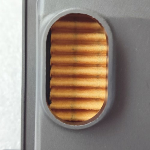 09G-0061-AM Inner Filter 09G325429H All Plastic High Hole 09G Transmission
