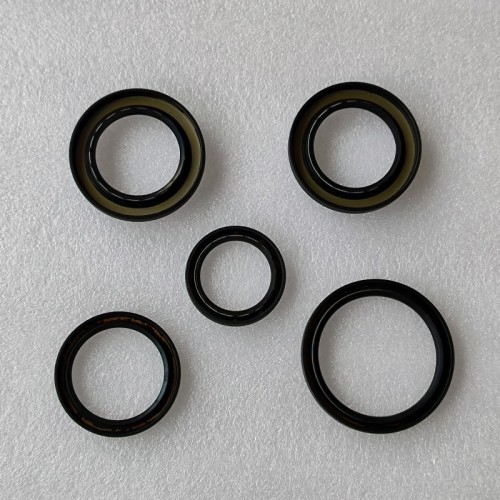 9HP48-22301A-AM 9HP48-OHK01A-AM