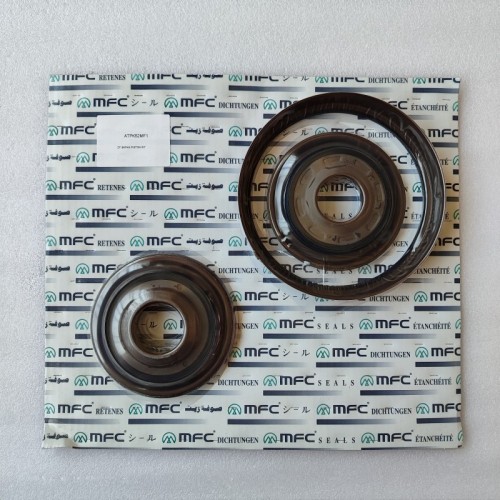 8HP45-0032-AM1 8HP45-PISK700-AM Piston Kit 182240BA 3Pcs A Kit 8HP45 Transmission