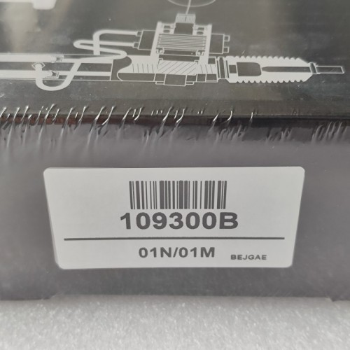 01M-109300B-AM Piston Kit 109300B 01M Transmission