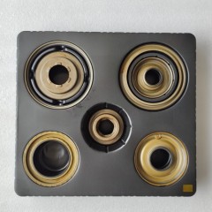 01M-109300B-AM Piston Kit 109300B 01M Transmission