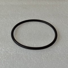 0BH-ORIN01-AM O Ring On Outer Filter Cover AEM 0BH Transmission