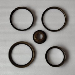 6T41-204300D-AM Piston Kit 204300D 5Pcs A Kit Late Type 6T41 Transmission