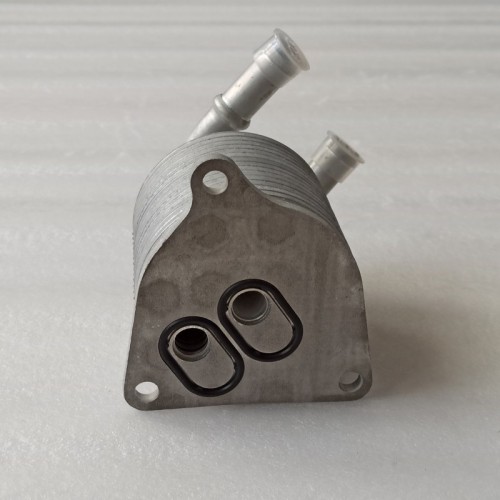 TF72SC-0015-OEM1 Cooler 15 Floor BMW TG81 TG82 CHANGAN