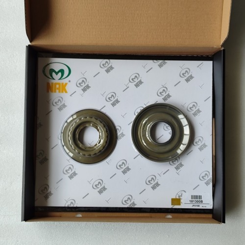 JF015E-181300B-AM Piston Kit 2Pcs A Kit JF015E Transmission