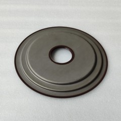 D8LF1-SEAL01-OEM Front Cover Seal 41032-2N000 D8LF1 Transmission