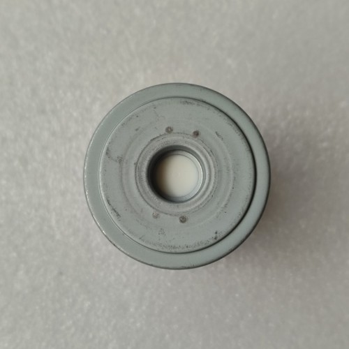 D8LF1-FILT02-OEM Filter Small 48197-2H000 D8LF1 Transmission
