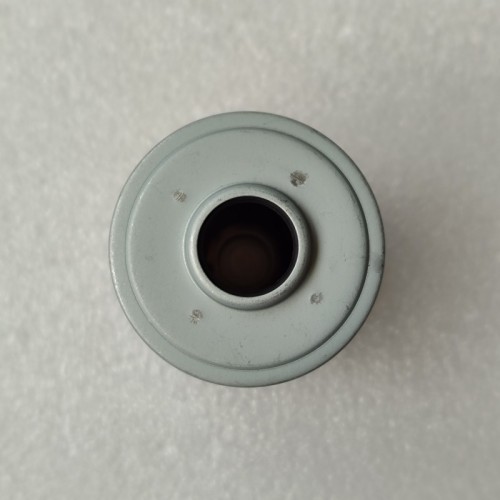 D8LF1-FILT02-OEM Filter Small 48197-2H000 D8LF1 Transmission