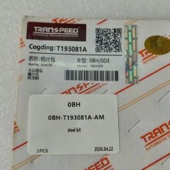 0BH-T193081A-AM Steel Kit T193081A 13Pcs A Kit 0BH Transmission