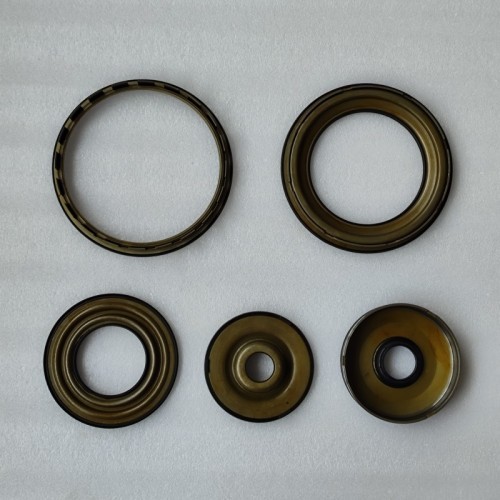 6L45E-201300A-AM Piston Kit 201300A 5Pcs A Kit 6L45E Transmission
