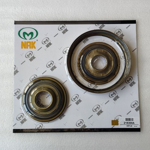 8HP45-218300A-AM Piston Kit 218300A 3Pcs A Kit 8HP45 Transmission