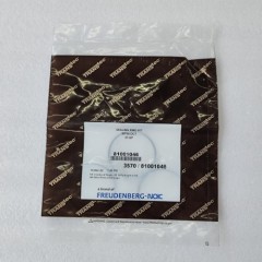 MPS6-0018-OEM Sealing Ring Kit CFW-3570 81001046 5Pcs A Kit MPS6 Transmission