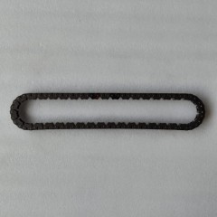 8F24-CHAI01-U1 Drive Chain J1KP7G249AA 22mm 40T Transmission Chain (Not for Pump)