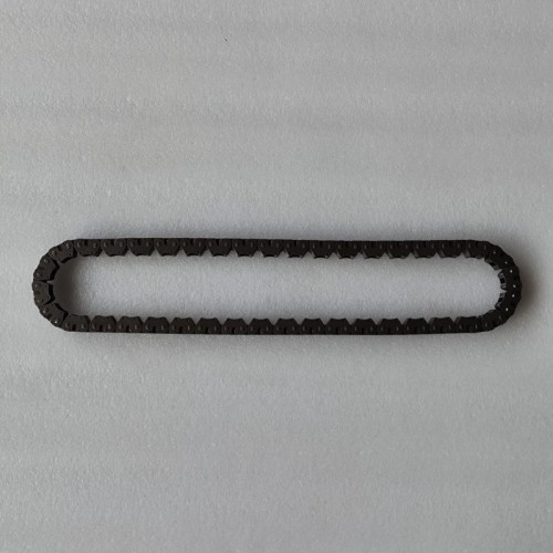 8F24-CHAI01-U1 Drive Chain J1KP7G249AA 22mm 40T Transmission Chain (Not for Pump)