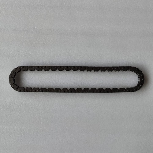 8F24-CHAI01-U1 Drive Chain J1KP7G249AA 22mm 40T Transmission Chain (Not for Pump)