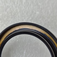 FW6AEL-SEAL01-AM Pump Seal 44x60x5.5 206400-NAK FZ21 for FW6AEL Transmission